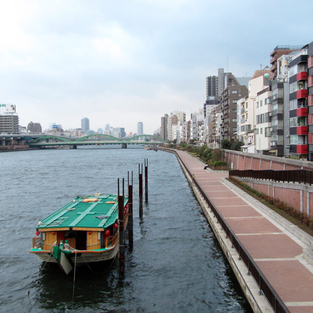 L'atlante delle città: Sao Paulo e Tokio