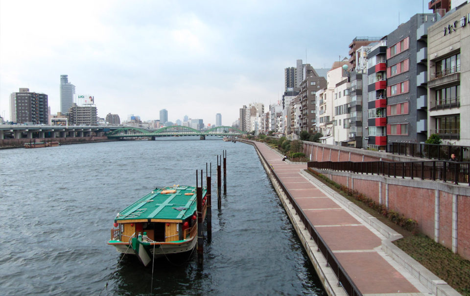 L'atlante delle città: Sao Paulo e Tokio